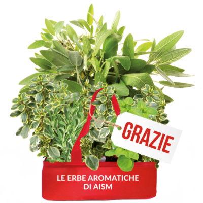 Aism-Aromatiche-grazie-2025