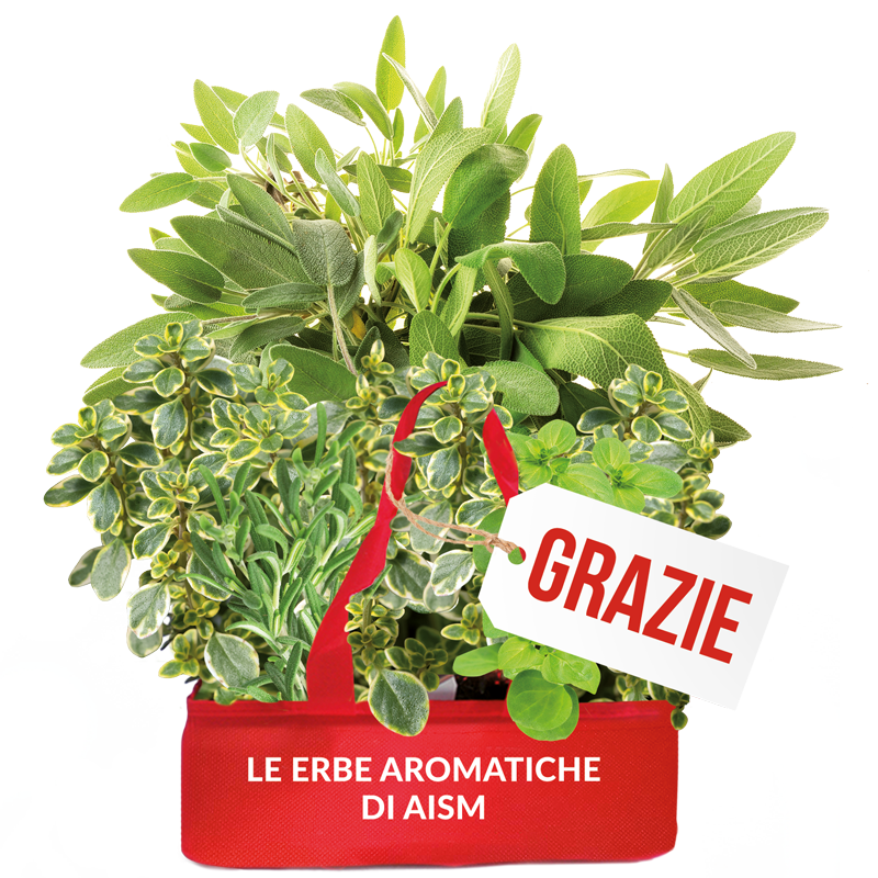 Aism-Aromatiche-grazie-2025